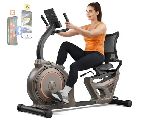 Niceday recumbent exercise bike with LCD monitor and app connectivity
